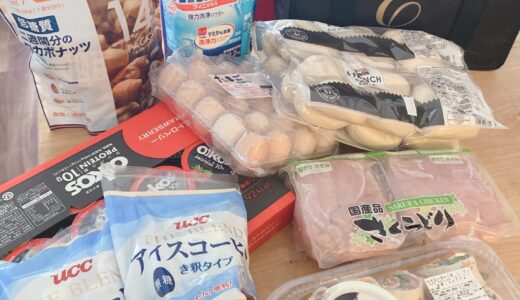 【コストコ 購入品】初心者向けのおすすめ商品とリピート買い商品を紹介